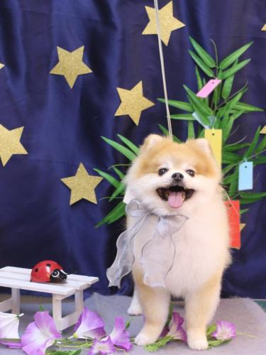 20230729モコくん